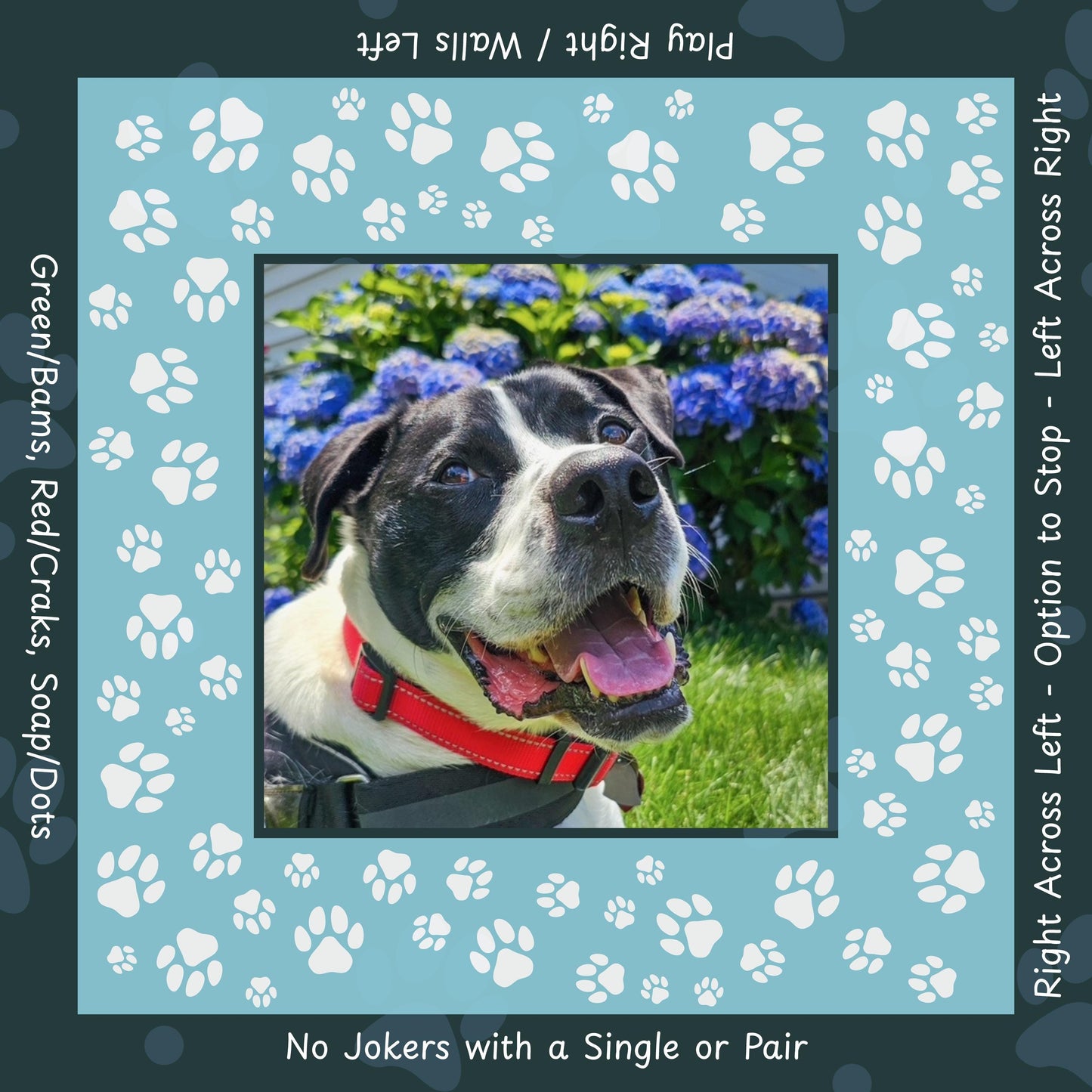 Doodle Plays Mahj Custom with Directions Mahjong Mat, this can be your Pup!